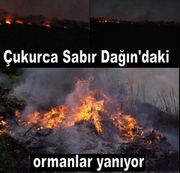 ÇUKURCA`DAKİ ORMANLAR YANIYOR