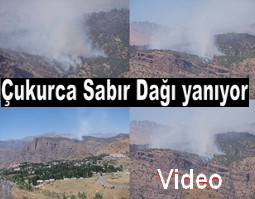 ÇUKURCA`DAKİ YANGIN 5. GÜNÜNE GİRDİ