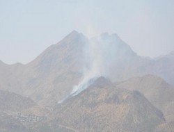 Üzümlü köyünde Orman yangını çıktı