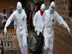 Ebola insanlara nasıl bulaşır