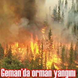 ÇUKURCA'DA ORMAN YANGINI