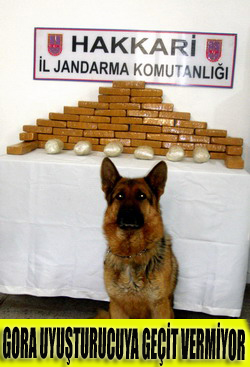 28 KİLO 240 GRAM EROİN ELE GEÇİRİLDİ