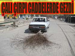 ÇALI ÇIRPI CADDELERDE GEZDİ