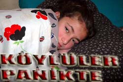 KÖYLÜLER DOMUZ GRİBİNDEN KORKUYOR