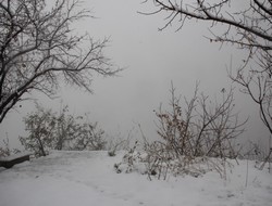 Hakkari il genelinde kar yağışı başladı