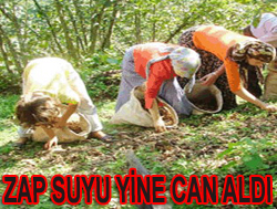 YABANİ SARIMSAK İÇİN ÖLDÜLER