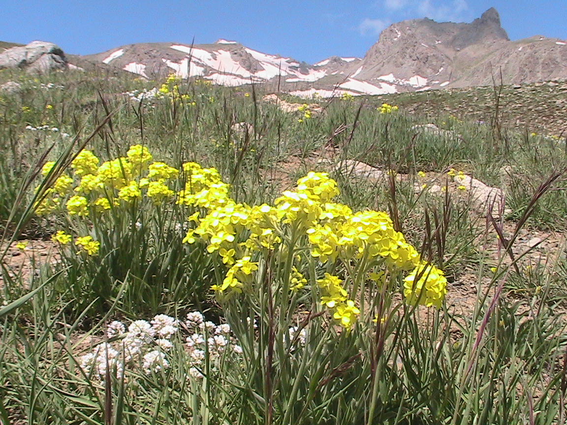 İŞTE HAKKARİ NİN DOĞA HARİKASI