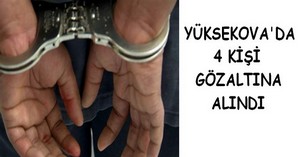 Yüksekova'da 4 kişi gözaltına alındı