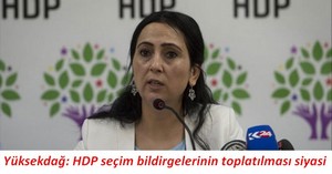 Yüksekdağ: HDP seçim bildirgelerinin toplatılması siyasi