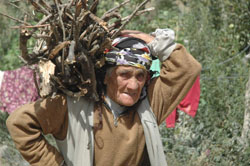 97 YAŞINDAKİ AYŞE NİNENİN DRAMI