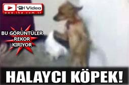 REKORTMEN KÖPEKLER