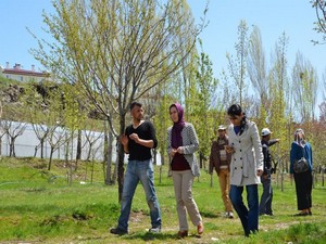 Erciş Belediyesi sera kuruyor