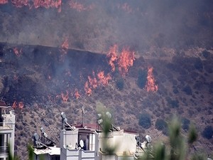 Bodrum'da orman yangını; 100 hektar kül oldu