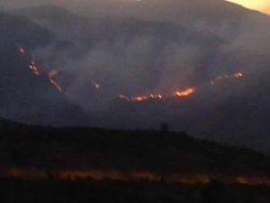 Çukurca'da orman yangını devam ediyor