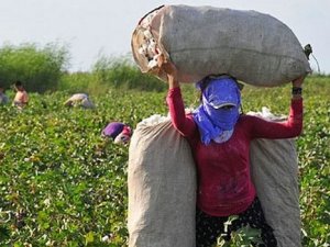 8 ayda 70 kadın işçi hayatını kaybetti