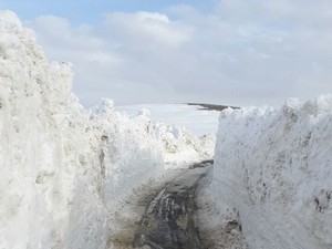 3 bin 500 rakımdaki karla mücadele sona erdi!
