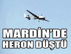 Mardin'de Heron düştü