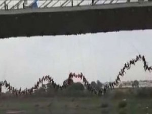 245 kişi aynı anda köprüden atladı