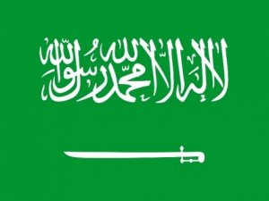 Suudi Arabistan’da 11 prens gözaltına alındı