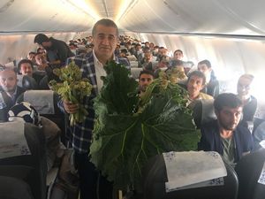 Hakkari-Ankara uçağında şifa dağıtıldı