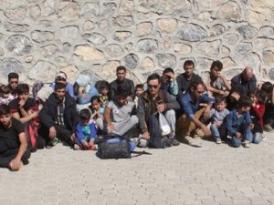 Başkale’de 41 kaçak göçmen yakalandı