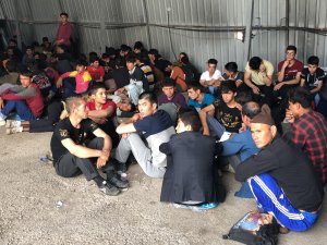 301 kaçak göçmen yakalandı