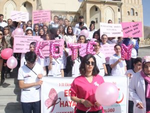 Hakkari'de meme kanseri farkındalık yürüyüşü