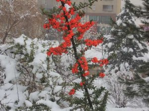 Hakkari'de kartpostallık kar manzarası