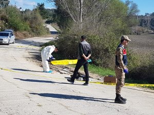 Döverek öldürüp yol kenarına attılar