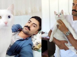 Beşinci kattan düşen kedisi için 190 bin lira harcadı