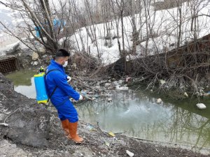 Hakkari'de haşerelerle mücadele çalışması başlatıldı