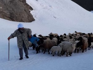 Besicilerin zorlu yayla yolculuğu başladı