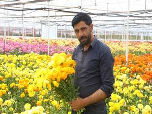 İşçi olarak başladığı seralarda yurt dışına çiçek ihraç ediyor