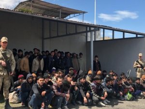 Van'da 106 kaçak göçmen yakalandı