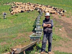 İran’dan gelip ayda 3 bin 400 TL’ye çoban oldu