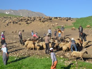 Hakkarili yaylacıların üç aylık yayla yolculuğu başladı