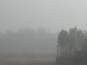 Yüksekova'da yoğun sis aksamalara neden oldu