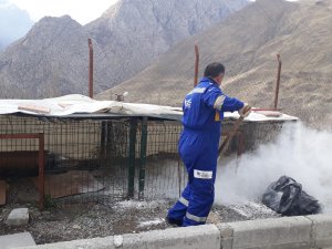 Hakkari'de hayvan bakım evleri dezenfekte edildi