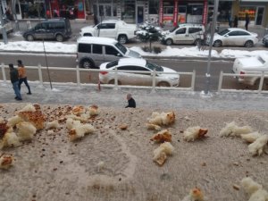 Belediye çalışanları kuşlar için yiyecek bıraktı