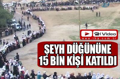 ŞEYH DÜĞÜNÜNE 15 BİN KİŞİ KATILDI