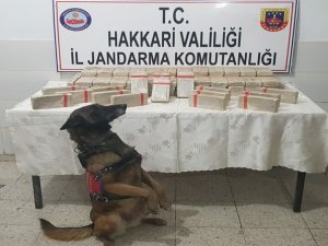 Yüksekova'da yüklü miktarda uyuşturucu ele geçirildi