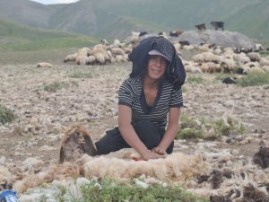 22 yaşındaki Zeynep çobanlık yapıyor