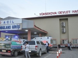 Yüksekova'da aile kavgası 2 ölü
