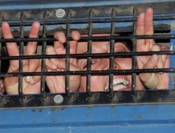 Van'da 5 kişi tutuklandı