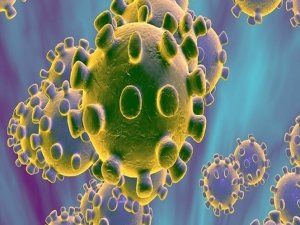 Koronavirüs binlerce kez mutasyona uğrayabilir