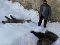 Çaltıkuru'da karla mücadele çalışması