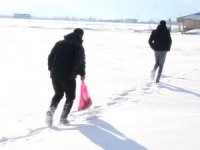 Tilki ve yavrularına balık ve et ikramı