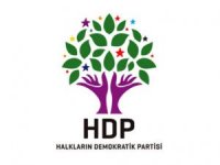 HDP Nevruz hazırlıklarını tamamladı