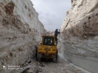 Hakkari'de 8 metre karla mücadele