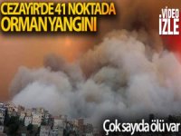Cezayir'de 41 noktada orman yangını çıktı
